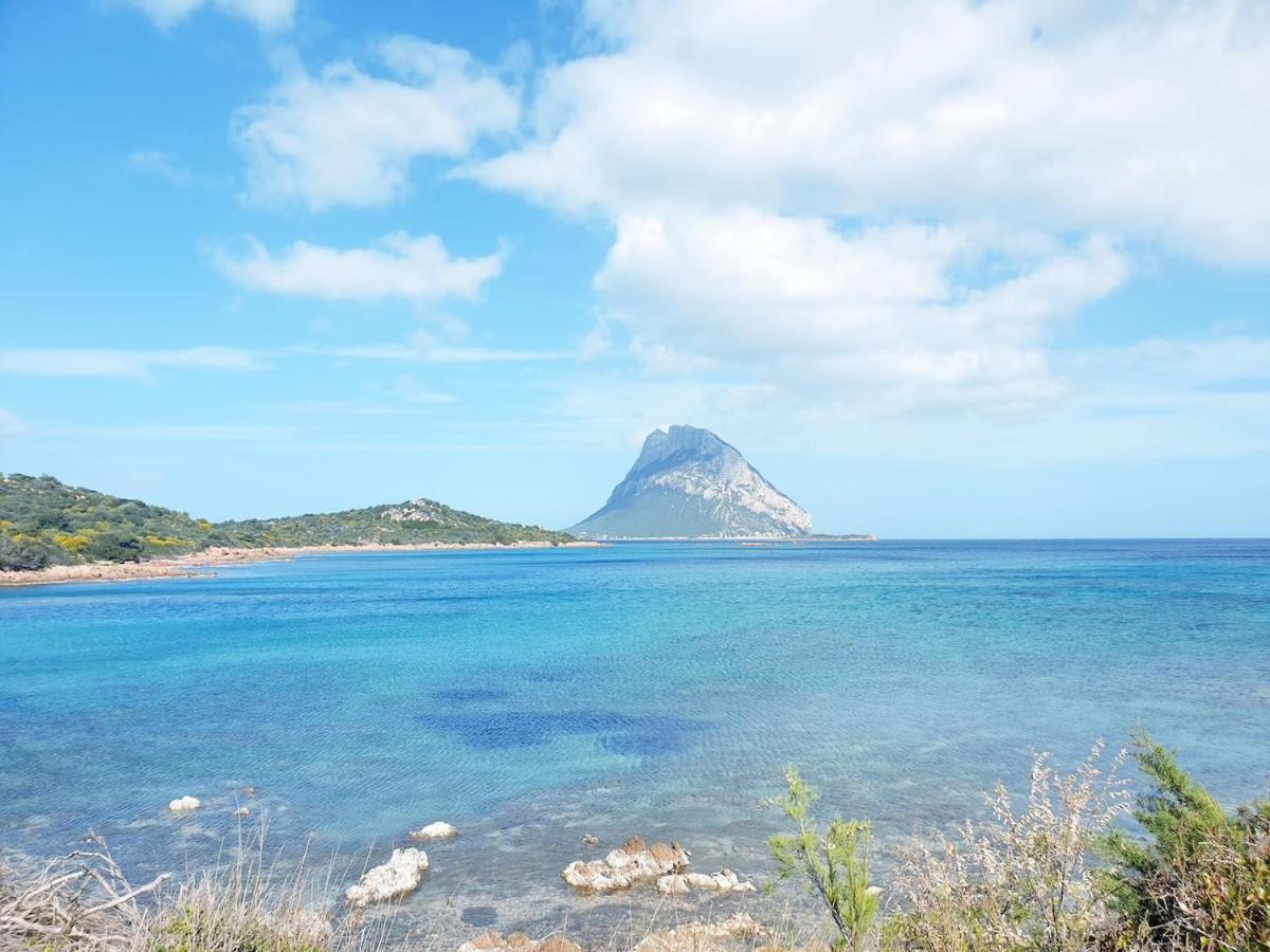 Appartamento Vasiliki Porto San Paolo  Eksteriør billede