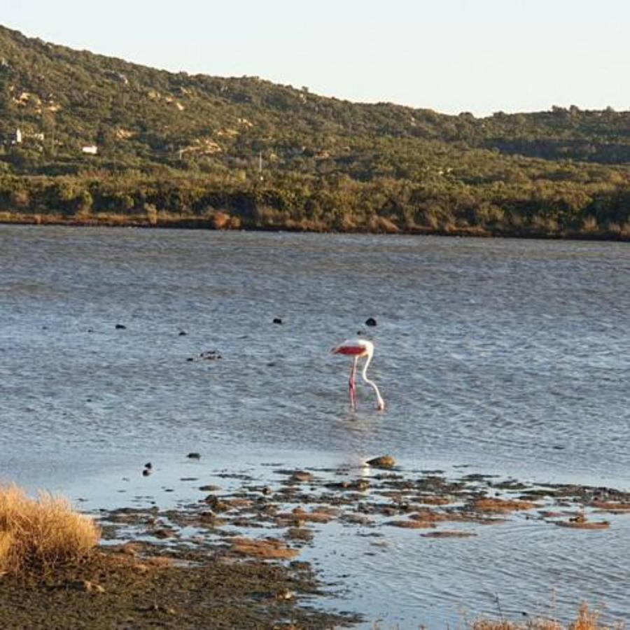 Appartamento Vasiliki Porto San Paolo  Eksteriør billede
