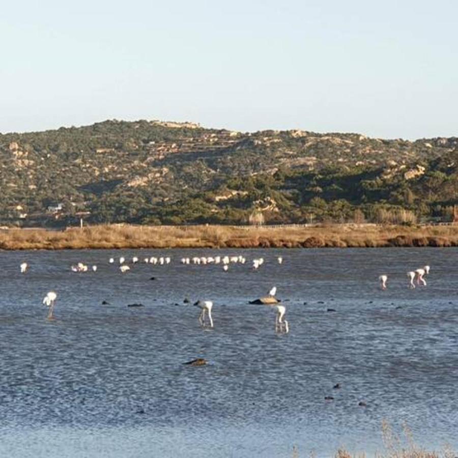 Appartamento Vasiliki Porto San Paolo  Eksteriør billede
